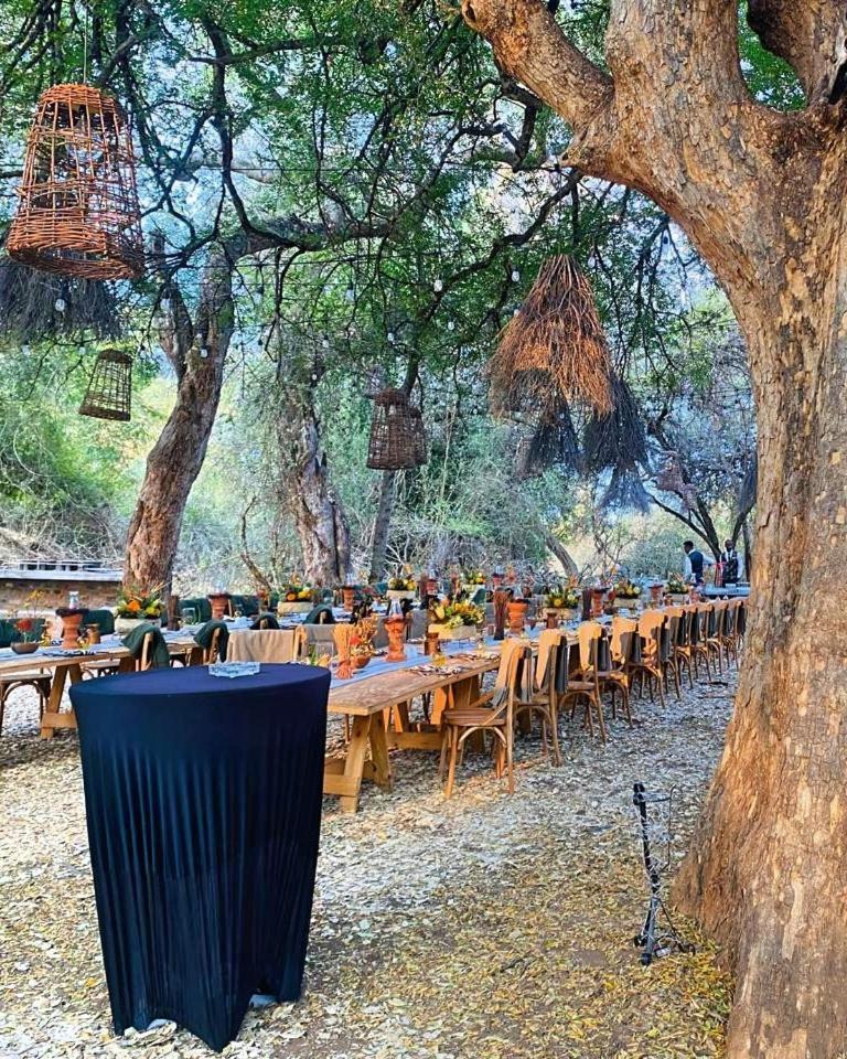 Palala Boutique Game Lodge And Spa Tom Burke Exteriér fotografie