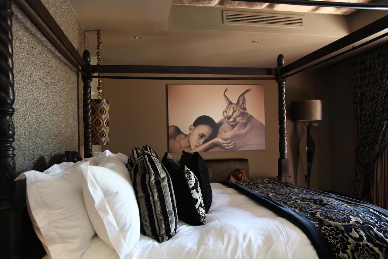 Palala Boutique Game Lodge And Spa Tom Burke Pokoj fotografie