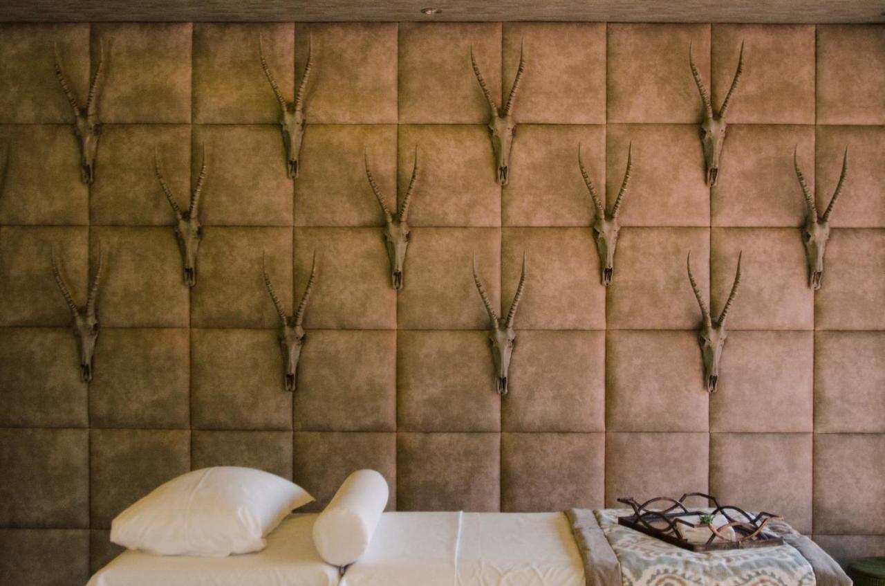 Palala Boutique Game Lodge And Spa Tom Burke Exteriér fotografie