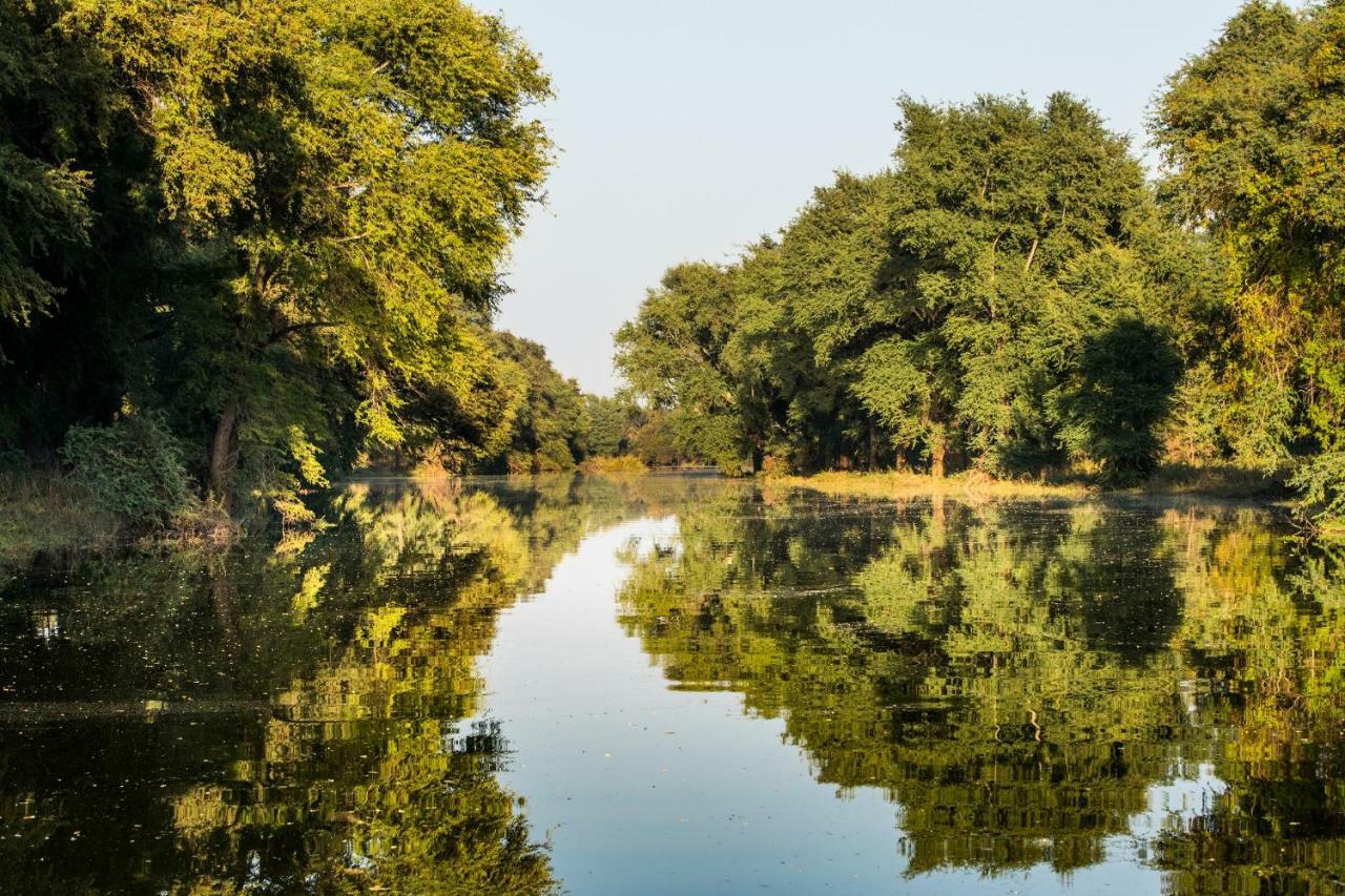 Palala Boutique Game Lodge And Spa Tom Burke Exteriér fotografie