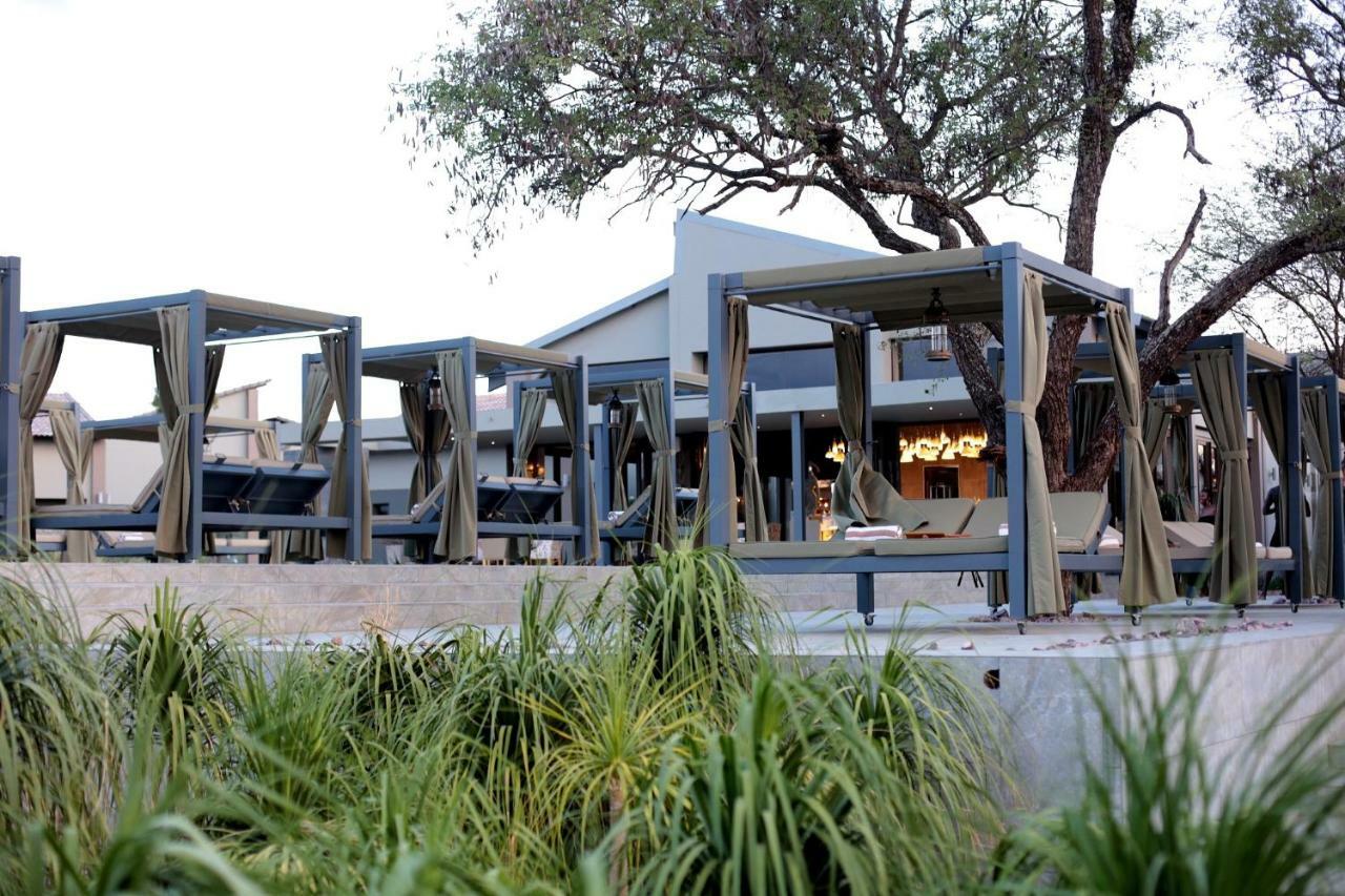 Palala Boutique Game Lodge And Spa Tom Burke Exteriér fotografie
